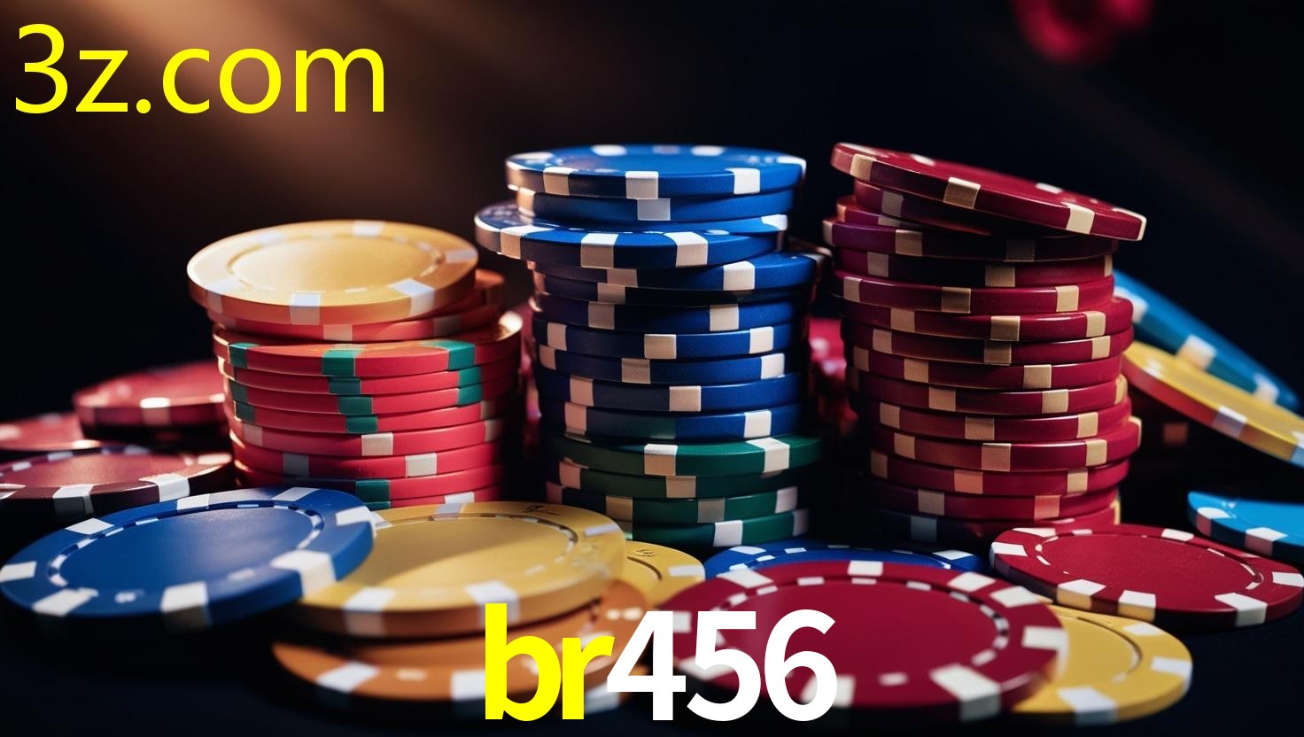 BR456.COM