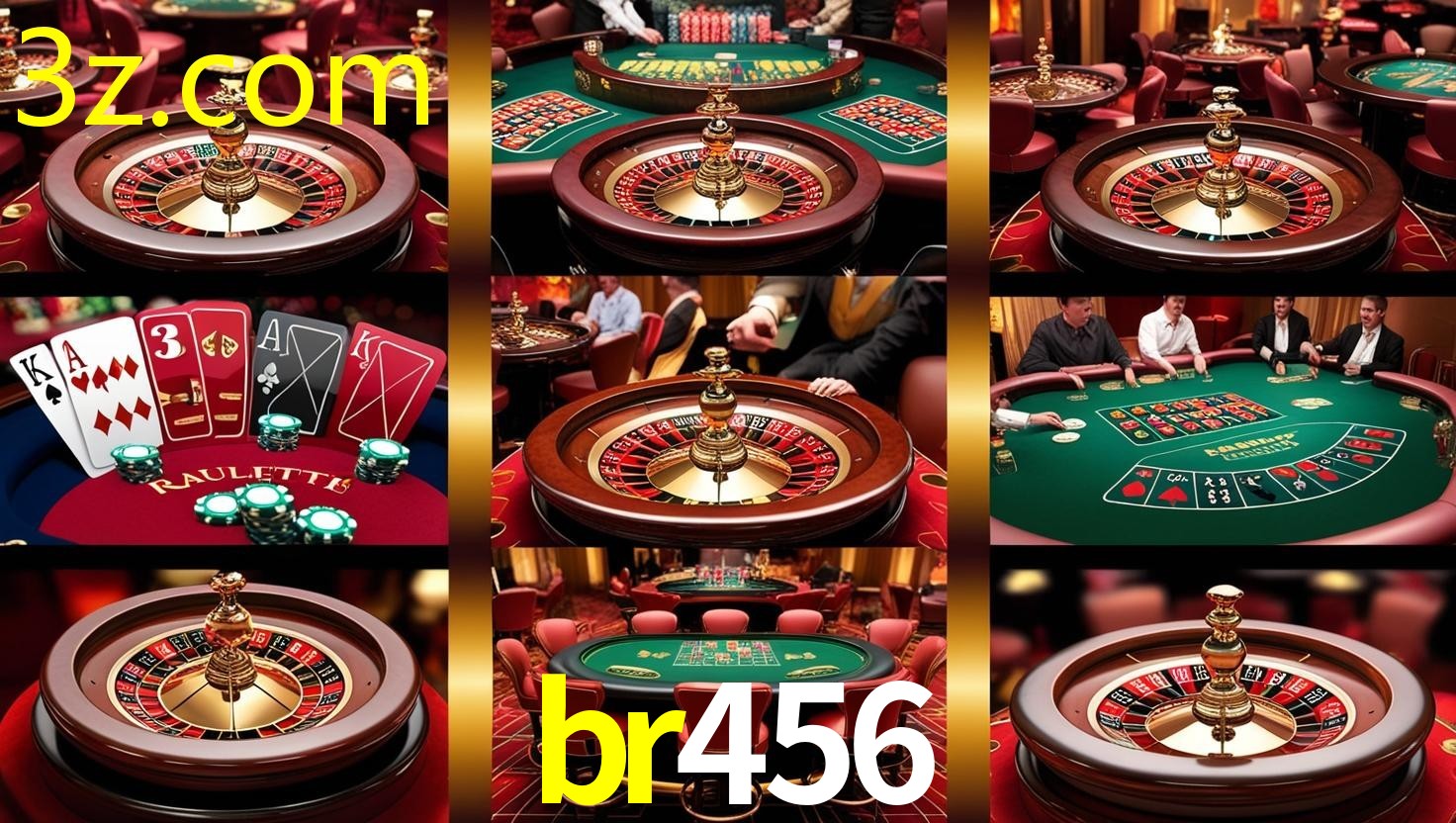 BR456.COM